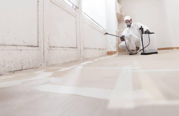 24/7 Emergency Commercial Mold Remediation experts in Jamestown, TN